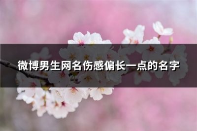 ​微博男生网名伤感偏长一点的名字(共189个)