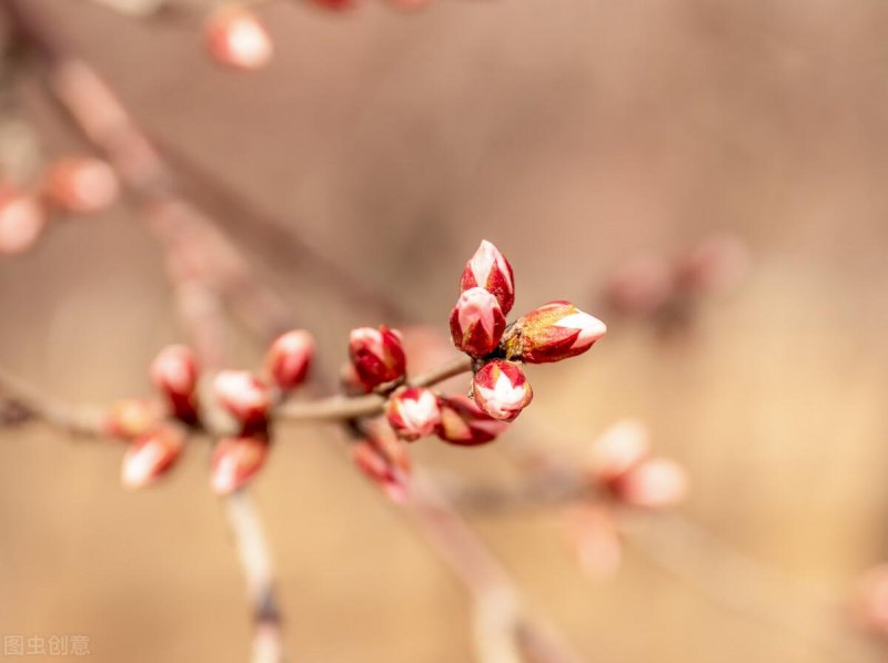 2021最朴实最暖心的短句分享，有深度有涵养干净的句子-第3张图片-