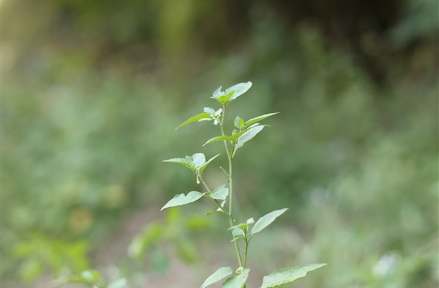 很伤感的QQ网名(精选520个)