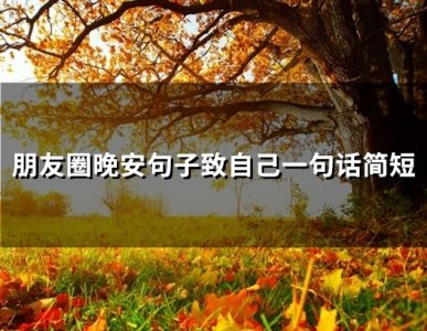 ​朋友圈晚安句子致自己一句话简短(精选53句)