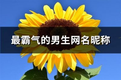 ​最霸气的男生网名昵称(共702个)