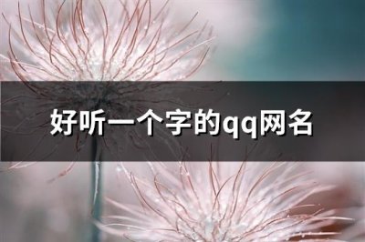 ​好听一个字的qq网名(156个)