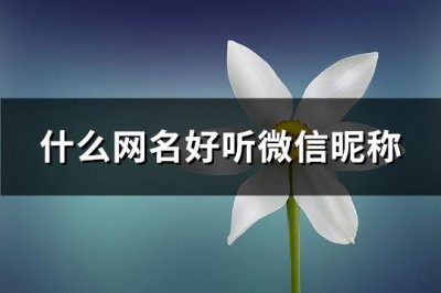 ​什么网名好听微信昵称(优选549个)