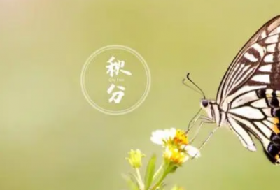 ​眼前一亮的创意店名,做生意必定红火的名字